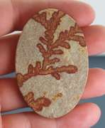 Collectors 110ct German Psilomelane Dendrite
