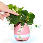 Hidden Speakers Planter Flower Pot