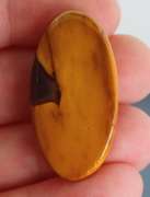Well defined 33ct collectors Mookite Jasper