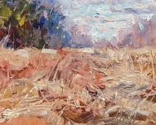 Pines and Winter Grasses Original Art by Ann Crostic