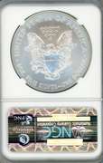 Perfect 2011 25th Anniversary Silver Eagle in NGC MS70. Early Release!