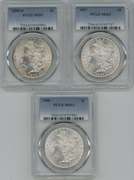 3 Diff. Very Choice BU Morgan Silver Dollars. PCGS MS63
