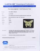 Incredible Yellow Gold oval Emerald and Diamond Butterfly Brooch