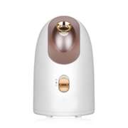Hot And Cold Face Steamer