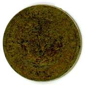 1895 Liberty 'V' Nickel