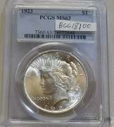 1923 Peace Dol PCGS MS-63 toning spots on Rev