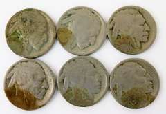 6 U.S. Buffalo Nickels, All 1913-D