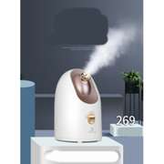 Hot And Cold Face Steamer