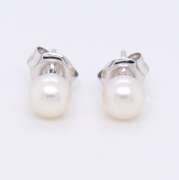 14kt White Gold 5mm Fresh Water Pearl Stud Earrings