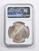 MS63 1924 Peace Silver Dollar NGC - Great Done
