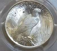 1923 Peace Dol PCGS MS-63 toning spots on Rev