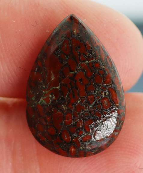 Really cool 7.67ct cabochon cut from dinosaur bone