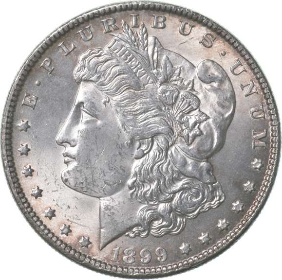 1899 Morgan Silver Dollar
