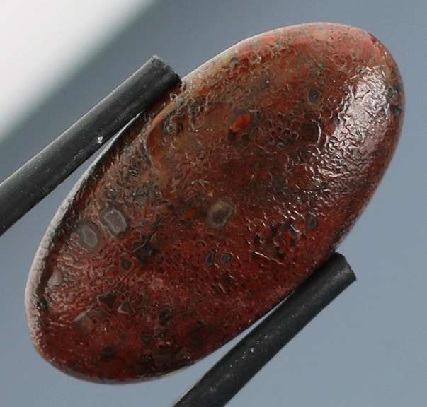 Great 10.69ct cabochon cut from dinosaur bone