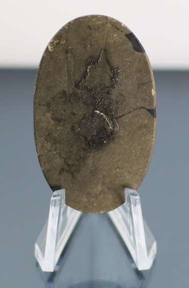 Tremendous 81.60ct Apache Gold cabochon