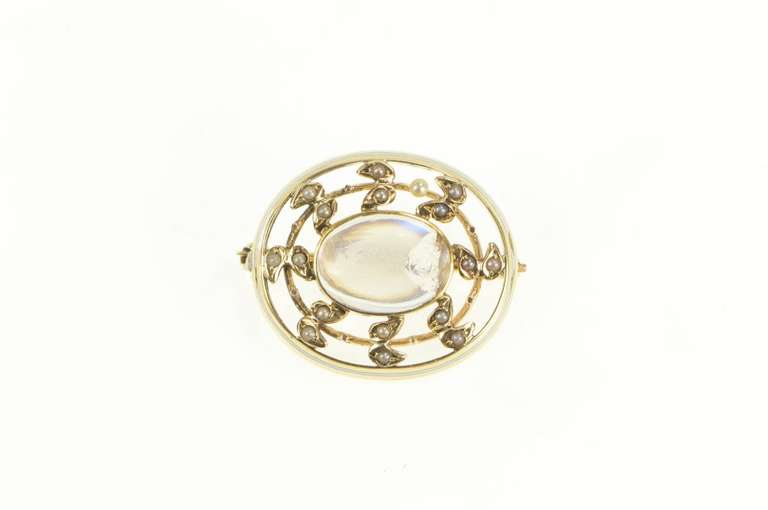 14K Yellow Gold Victorian Oval Moonstone Seed Pearl Vine Pin/Brooch