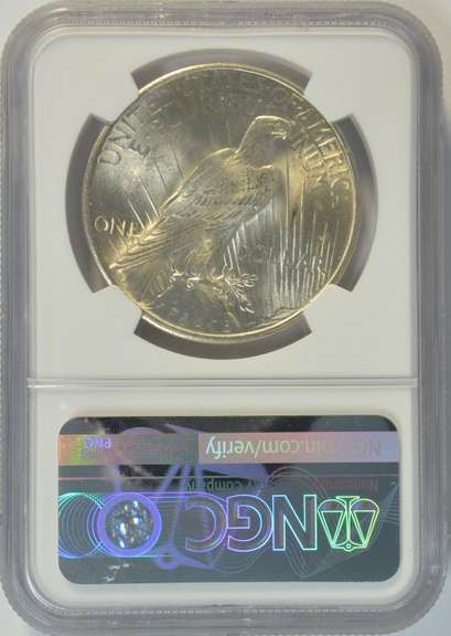 Super near Gem BU 1925 Peace Silver Dollar. NGC MS64