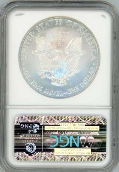 2010 American Silver Eagle in NGC MS69 Early Release