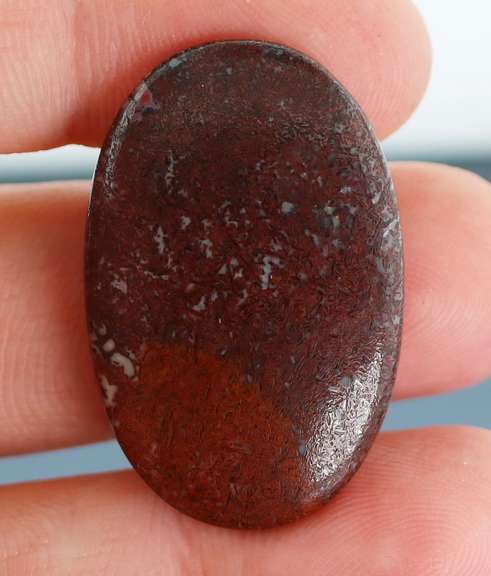 Tremendous 21.01ct cabochon cut from dinosaur bone