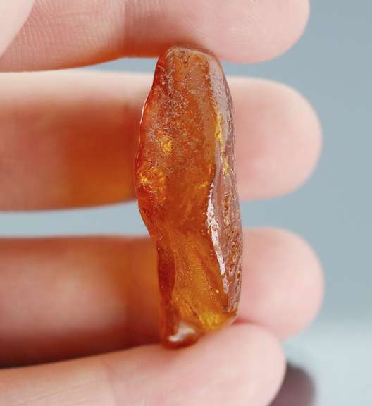 Exciting 26.41ct Baltic Amber with insects