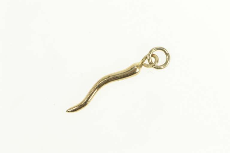 14K Yellow Gold 3D Italian Horn Trad. Protection Symbol Charm/Pendant