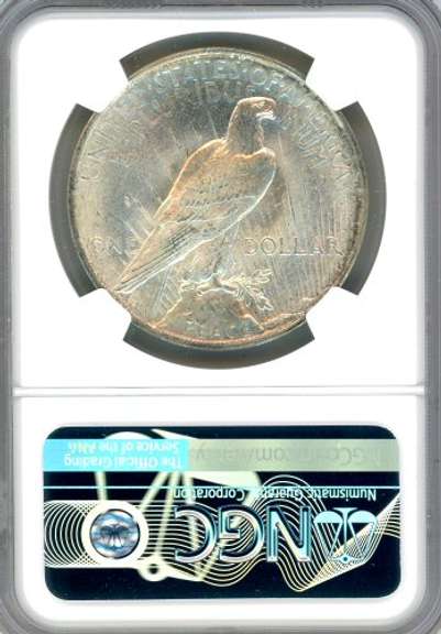 1923 Peace Silver Dollar in NGC MS64