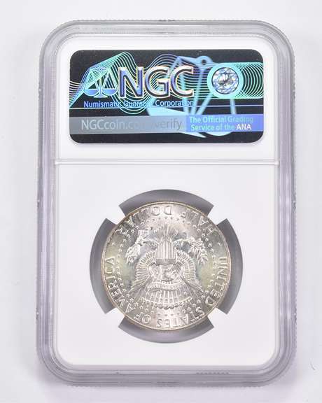 MS66 1964 Kennedy Half Dollar - Graded NGC AMAZING Tone