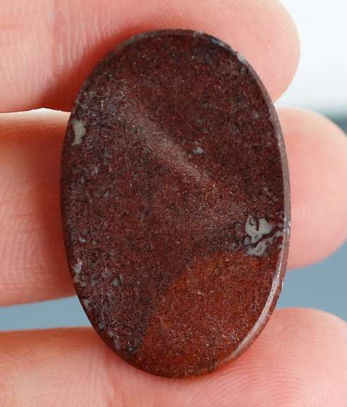 Tremendous 21.01ct cabochon cut from dinosaur bone