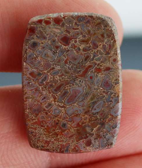 Excellent 22.95ct cabochon cut from dinosaur bone