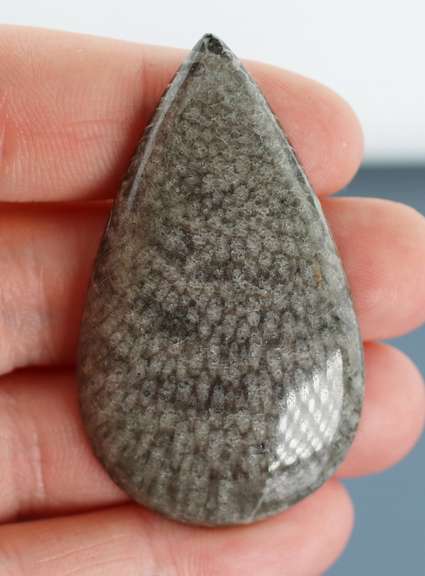 Big 67.39ct cabochon cut from dinosaur bone