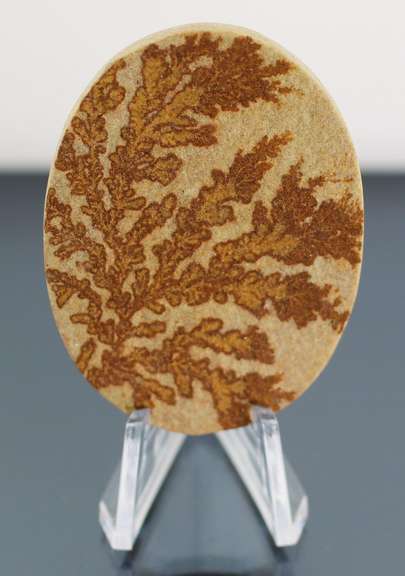 Tremendous 92.44ct German Psilomelane Dendrite