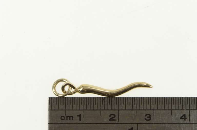 14K Yellow Gold 3D Italian Horn Trad. Protection Symbol Charm/Pendant