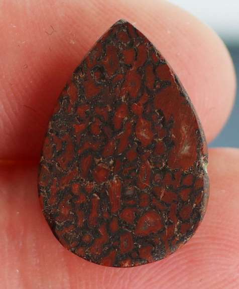Really cool 7.67ct cabochon cut from dinosaur bone