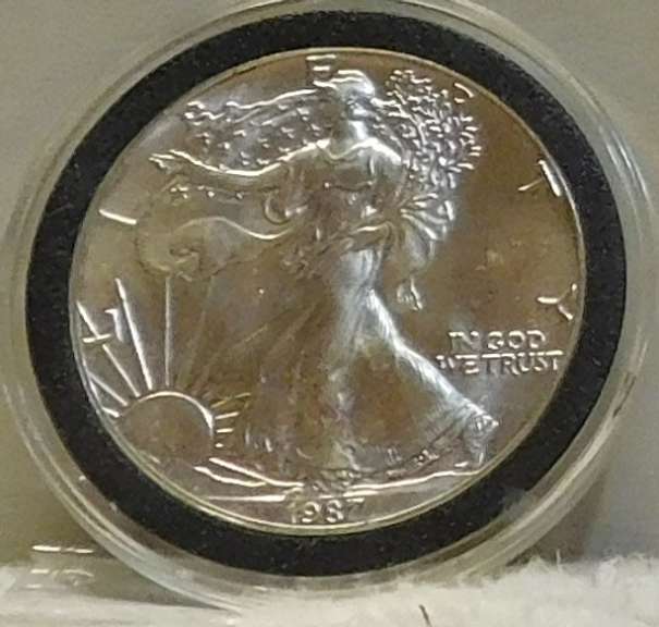 1987 Silver Eagle, early date
