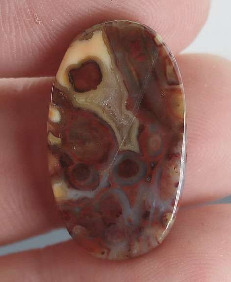 Highly figurative 10.92ct crazy lace Agate