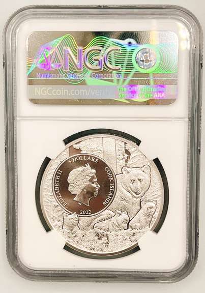 5 dollar 1 troy ounce silver coin