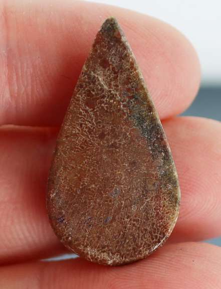 Marvelous 17.55ct cabochon cut from dinosaur bone