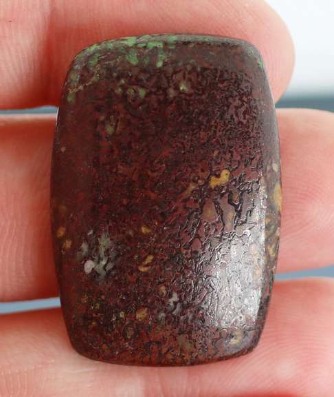 Superb 34.44ct cabochon cut from dinosaur bone