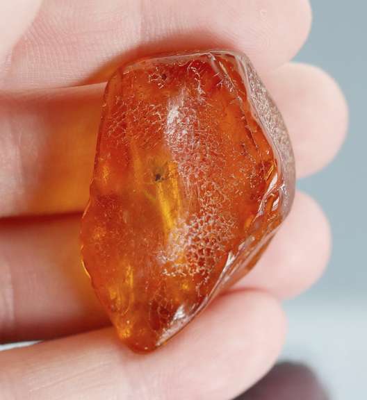 Exciting 26.41ct Baltic Amber with insects