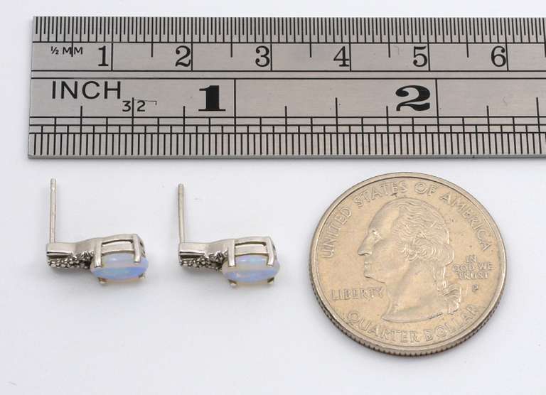Sweet Opal Earrings in 14k WG
