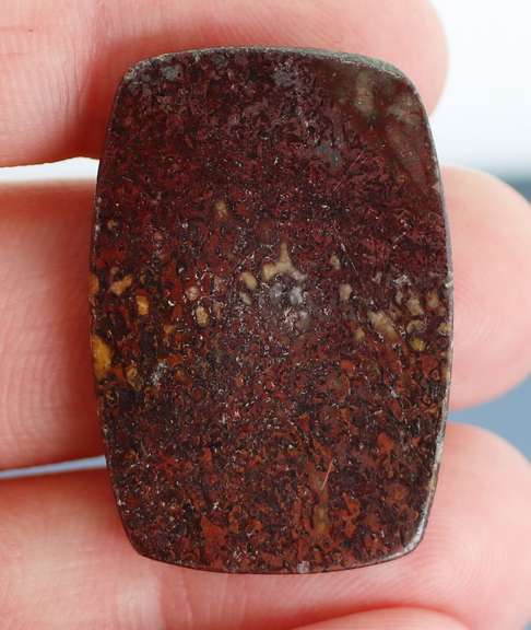 Superb 34.44ct cabochon cut from dinosaur bone