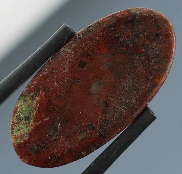 Great 10.69ct cabochon cut from dinosaur bone