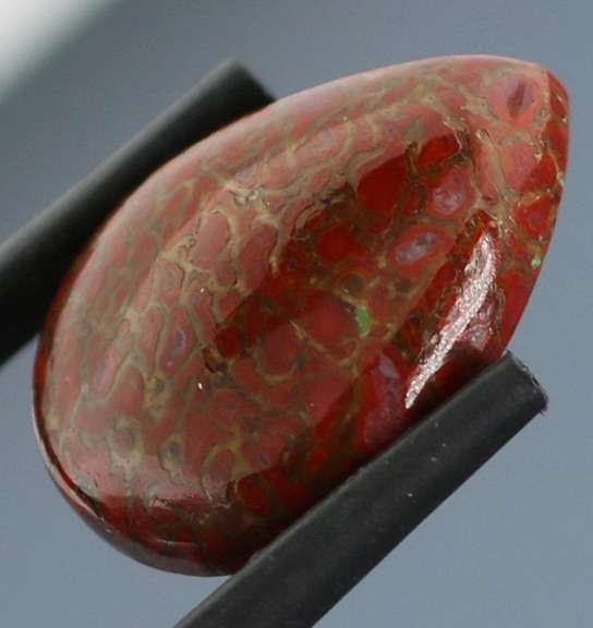 Stunning 10.19ct cabochon cut from dinosaur bone