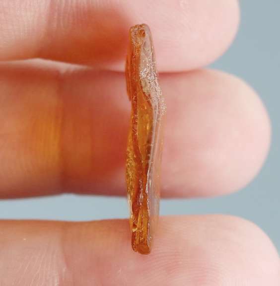 Awesome 4.29ct Baltic Amber with insects