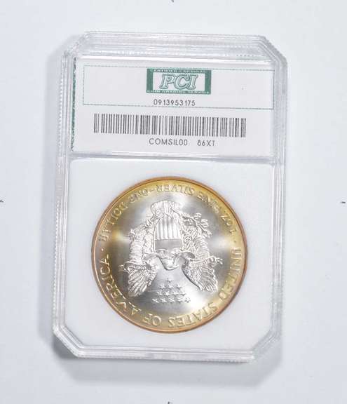 2000 American Silver Eagle - 100% White