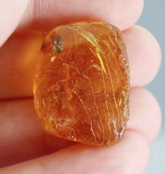Sublime 17.88ct Baltic Amber with insects