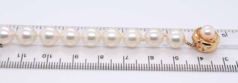 Elegant 7.5-8mm White Fresh Water Pearl Bracelet