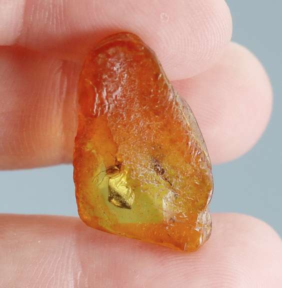 Awesome 4.29ct Baltic Amber with insects