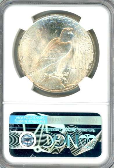 1923 Peace Silver Dollar in NGC MS64