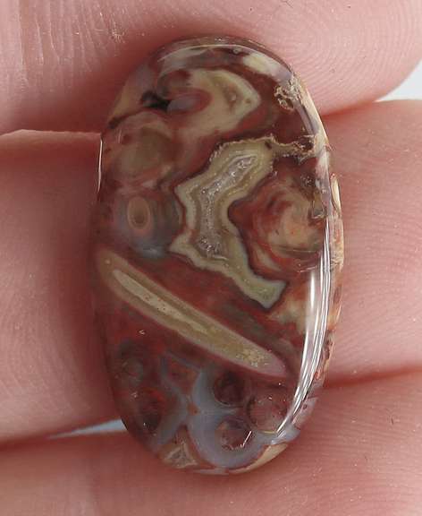 Highly figurative 10.92ct crazy lace Agate